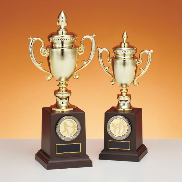 メダル 彫刻無料 金属製 63種目から選べる プラケース入り LMW-600