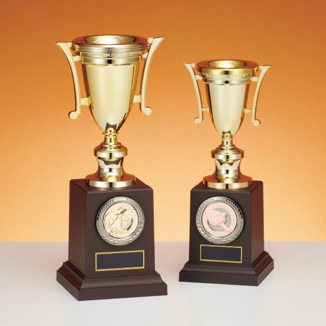 優勝カップ 優勝カップ 金属製 13種目から選べる C-1042 Aサイズ