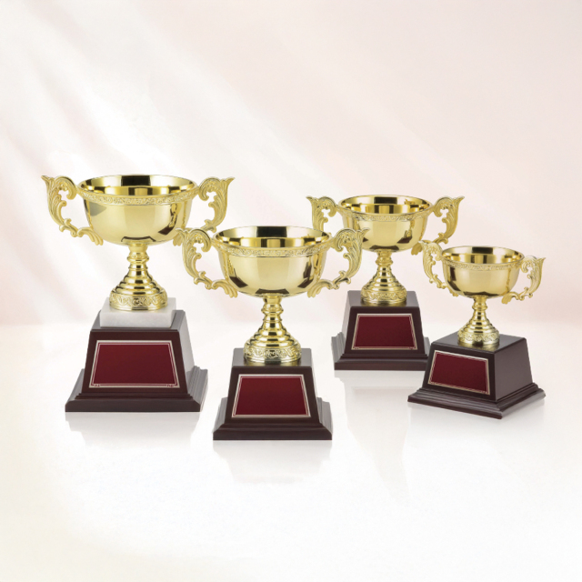 優勝杯とアクセサリーのまとめ！なんと総グラム500越え！ 優勝杯とアクセサリーのまとめ！なんと総グラム500越え！ 優勝杯と