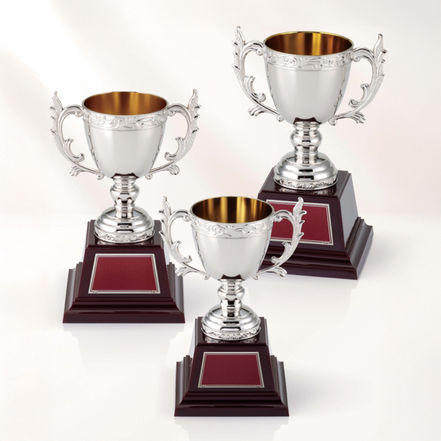 優勝カップ 金属製 AC-1338 Aサイズ