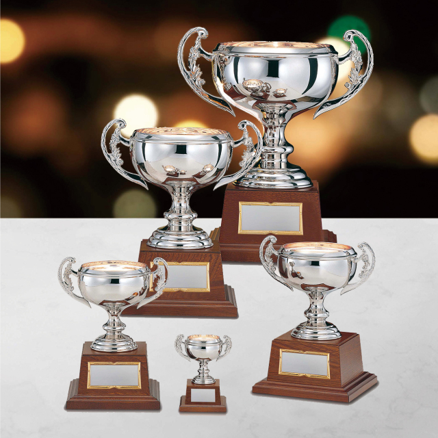 優勝カップ 金属製 DC-1401 Aサイズ