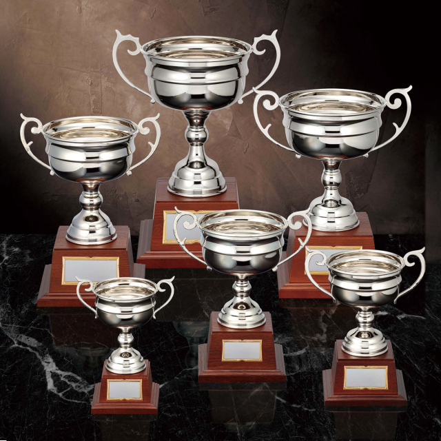 優勝カップ 金属製 DC-1401 Aサイズ