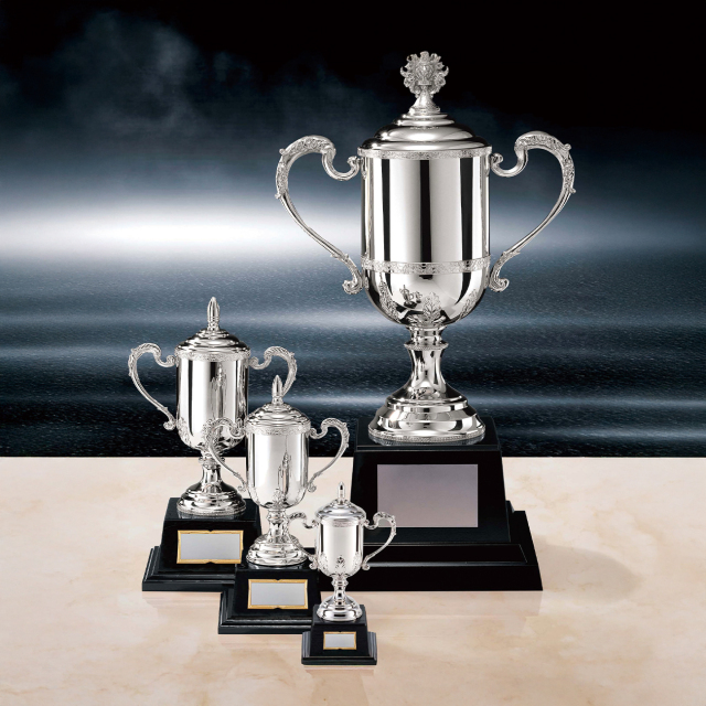 優勝カップ 金属製 DC-1437 Aサイズ