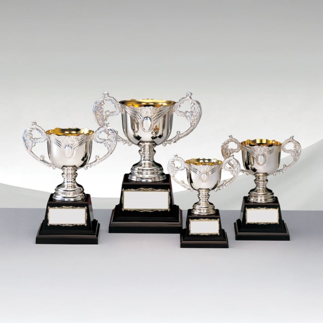 altテキスト,4サイズ,翌営出荷