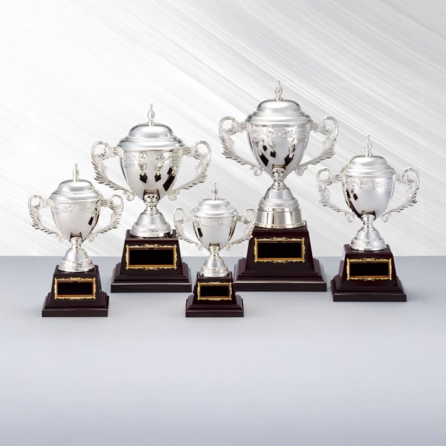 altテキスト,5サイズ,翌営出荷