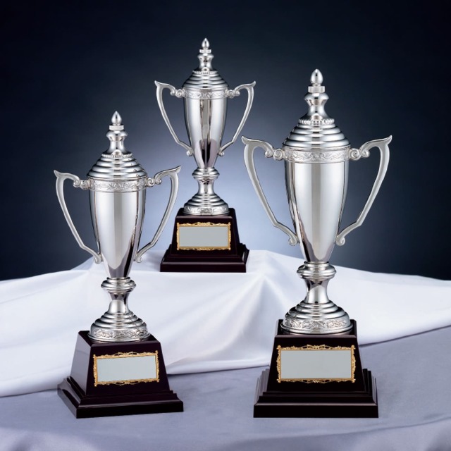 優勝カップ 金属製 RS-8207 Cサイズ