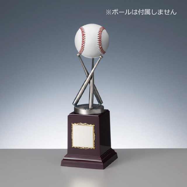 クリスタルトロフィー 時計付 サンドブラスト彫刻 ZKG-1160 Cサイズ