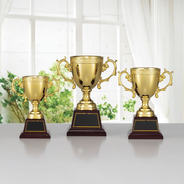 優勝カップ　樹脂製（旧型番：K-CP-144）【K-CP-154_Cサイズ】高さ：16.5cm《営業日13時までのご注文で翌営業日出荷》　[E-1]〈L〉