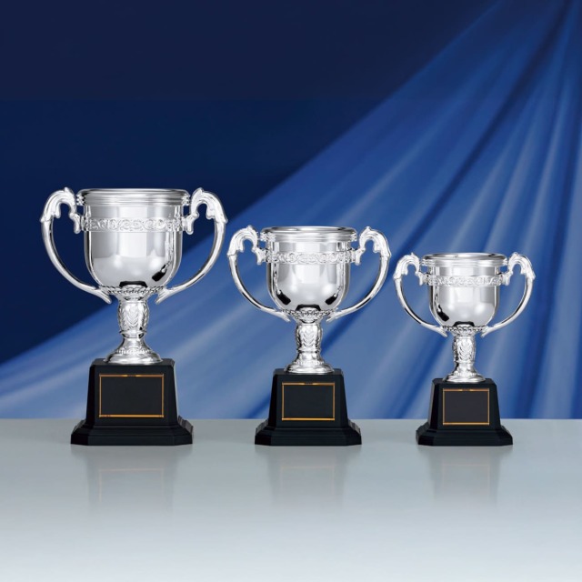 altテキスト,3サイズ,翌営出荷