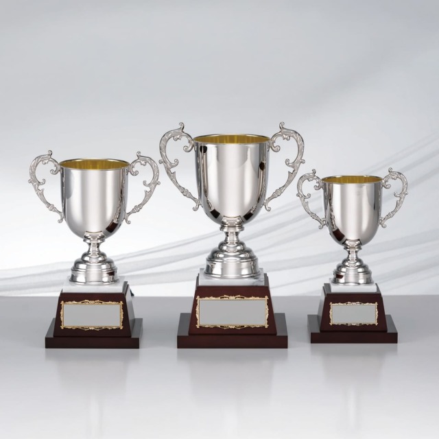 優勝カップ 金属製 RS-8213 Aサイズ