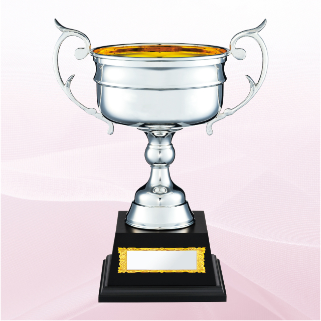 BARC トロフィー カップ❗️ 優勝カップ ガラス製 YC-4909 Bサイズ