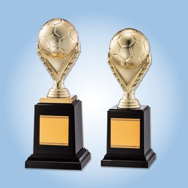 クリスタルトロフィー 内部レーザー彫刻《XC-L-0190_Aサイズ》(高さ