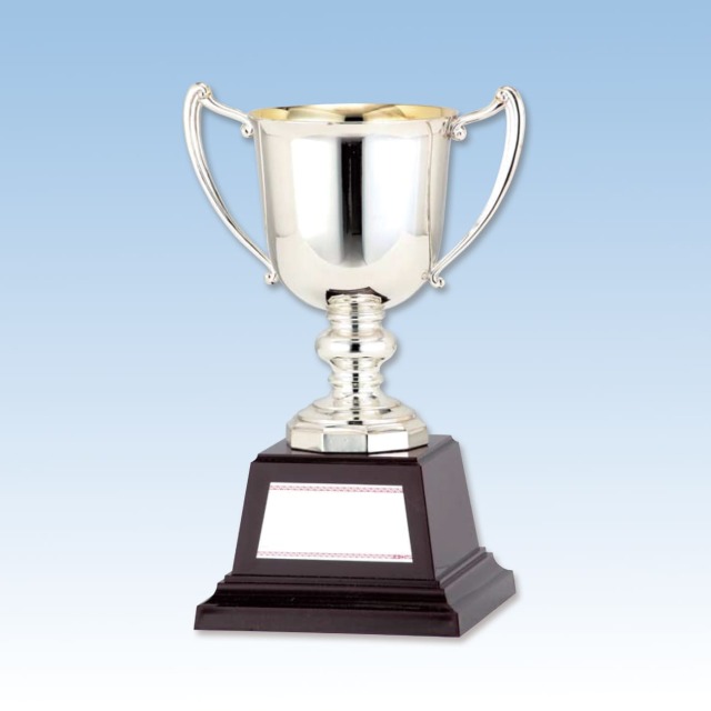 altテキスト,4サイズ,翌営出荷