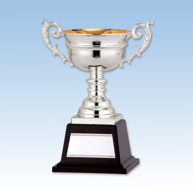 altテキスト,4サイズ,翌営出荷