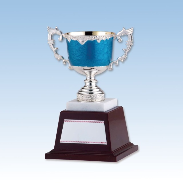 altテキスト,4サイズ,翌営出荷