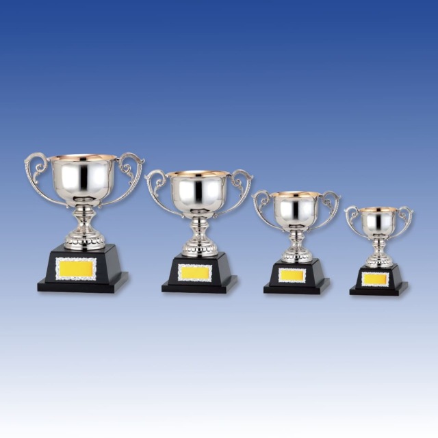 altテキスト,4サイズ,翌営出荷