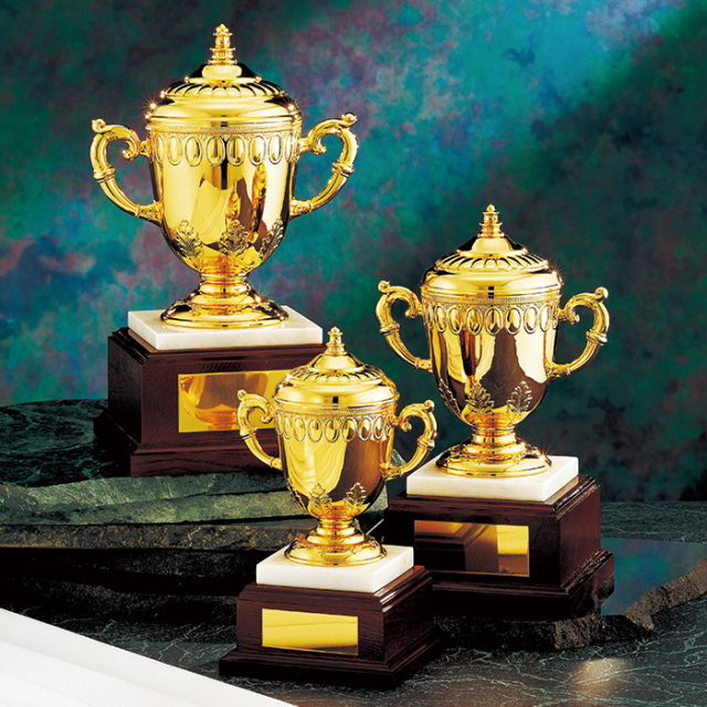 優勝カップ 金属製 NO-4120 Aサイズ