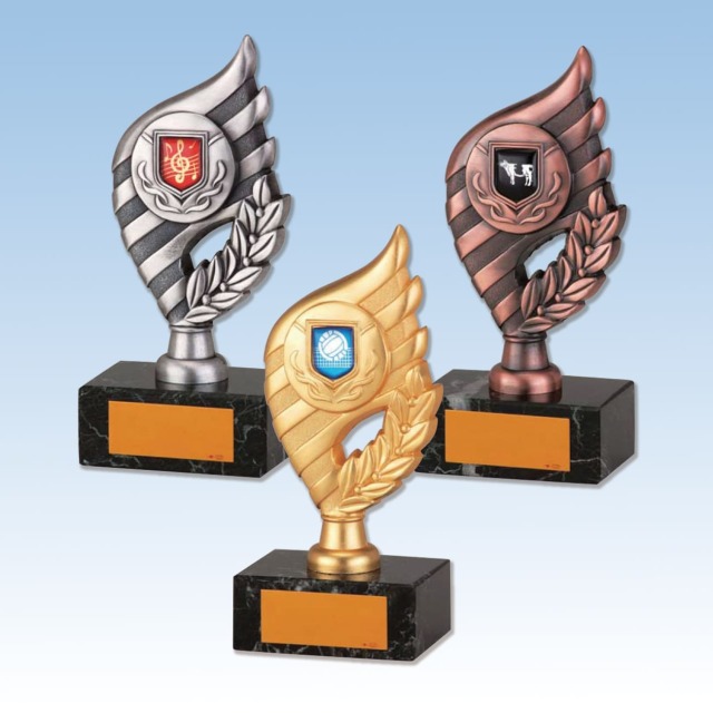 クリスタルトロフィー 85種目から選べる X-584 Aサイズ