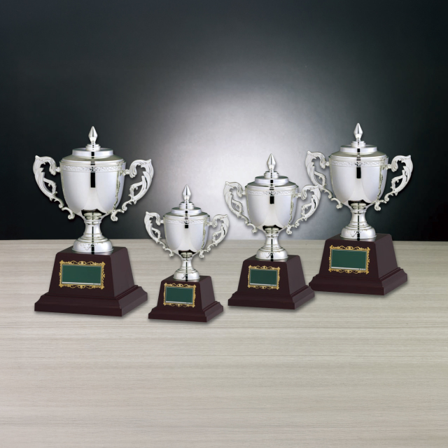 AJPC 優勝トロフィー 1_000000001277.jpg?1701072147