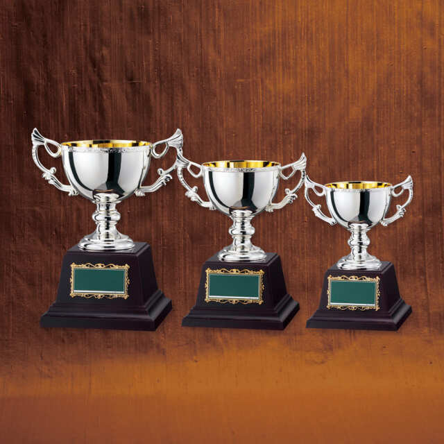 優勝カップ 金属製 CA-1036 Aサイズ