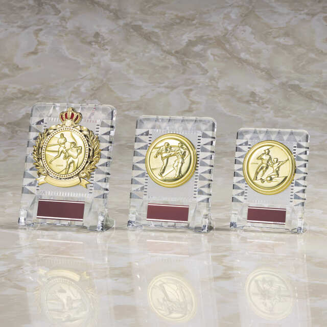 樹脂楯　１４８種目選べる【Y-ATZ-4430_Aサイズ】高さ：16.0cm　幅：12.0cm《営業日13時までのご注文で翌営業日出荷》　[#24]〈L〉