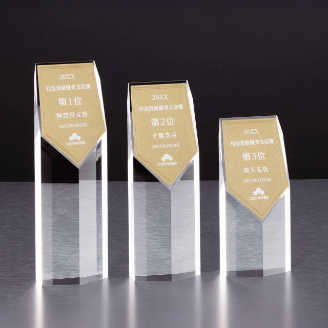 アクリル製トロフィー　真鍮プレート付　エッチング加工【Y-D58-01_Cサイズ】高さ：18.0cm　幅：8.0cm《デザイン確定後 通常10営業日前後で出荷》