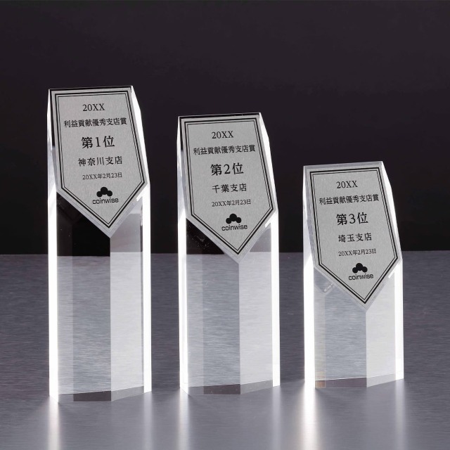 アクリル製トロフィー　ステンレスプレート付　エッチング加工【Y-D58-02_Cサイズ】高さ：18.0cm　幅：8.0cm《デザイン確定後 通常10営業日前後で出荷》