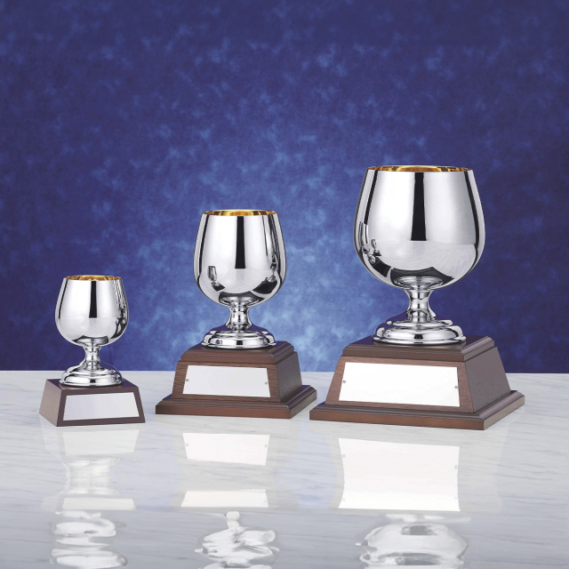 優勝カップ 金属製 NO-4120 Aサイズ