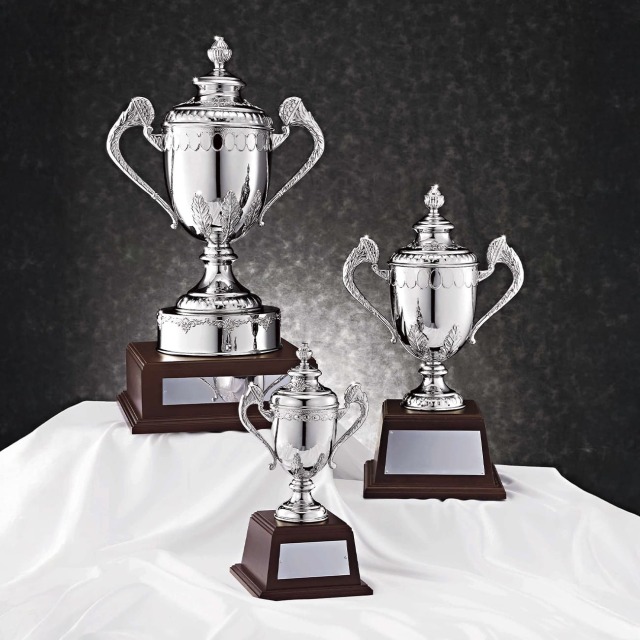 優勝カップ 金属製 NO-4171 Cサイズ