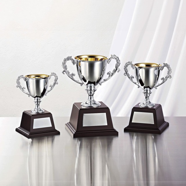 優勝カップ 金属製 NO-4526 Aサイズ