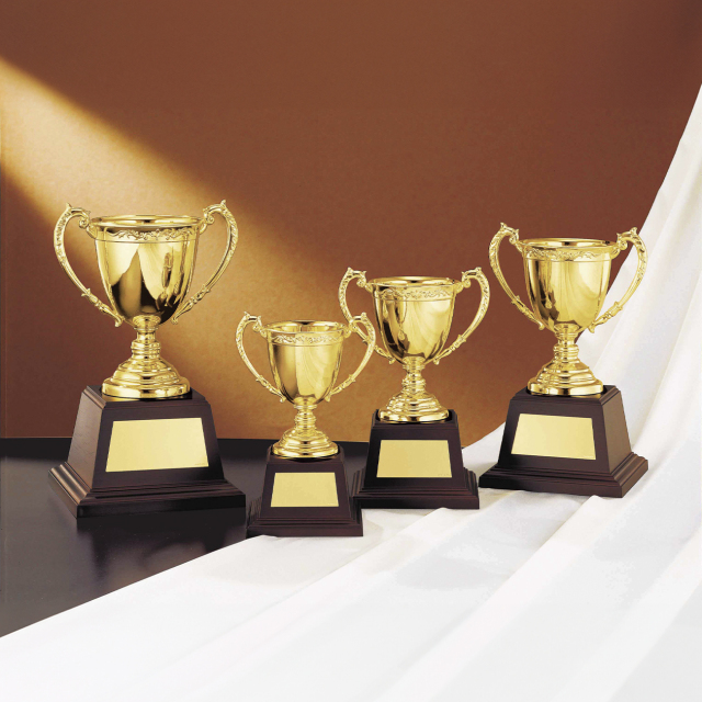 優勝カップ 金属製 NO-4528 Cサイズ