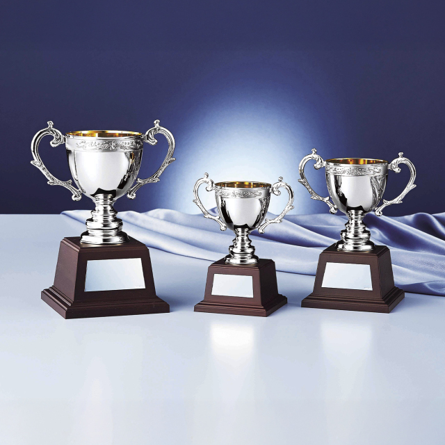 優勝カップ 金属製 NO-4550 Cサイズ