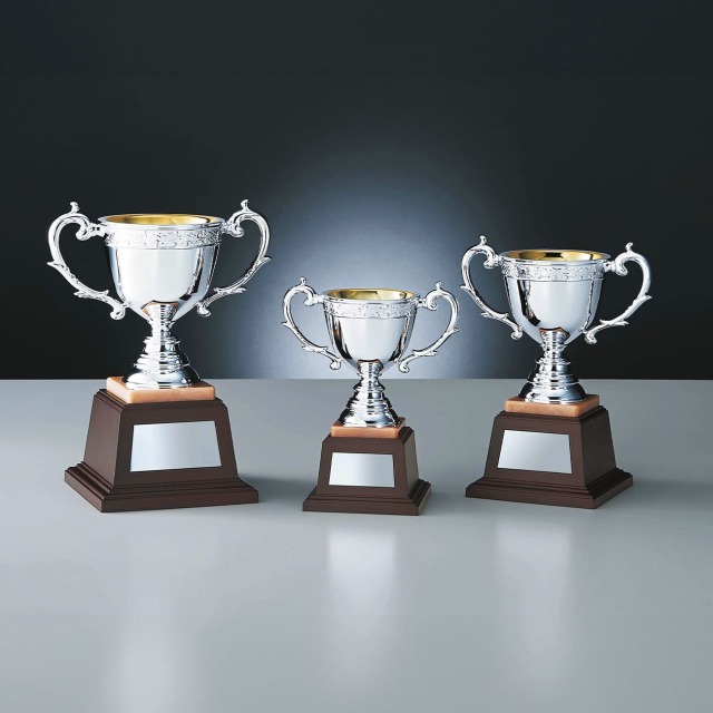 優勝カップ 樹脂製 NO-4770 Bサイズ