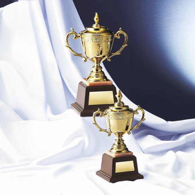 優勝カップ 金属製 NO-4528 Cサイズ