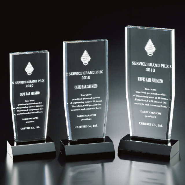 クリスタルトロフィー 内部レーザー彫刻 L95-01 Aサイズ