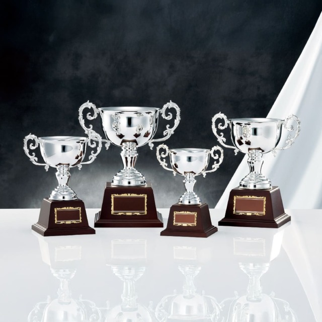 altテキスト,4サイズ,翌営出荷