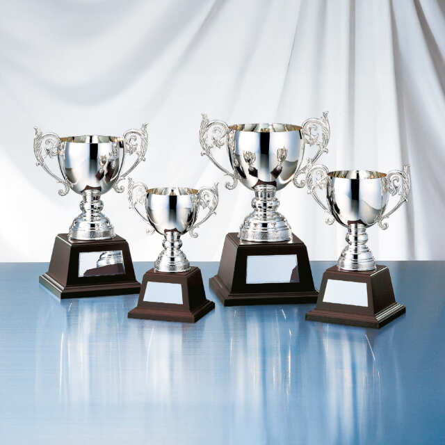 優勝カップ 金属製 NO-4144 Aサイズ
