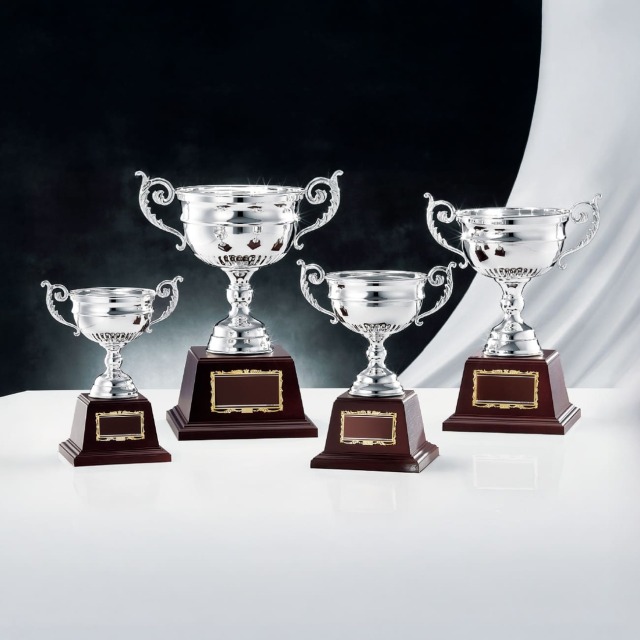 優勝カップ 金属製 NO-4141 Aサイズ