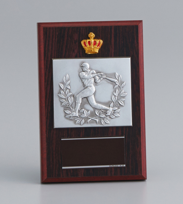 木製楯 AT-4451 Dサイズ