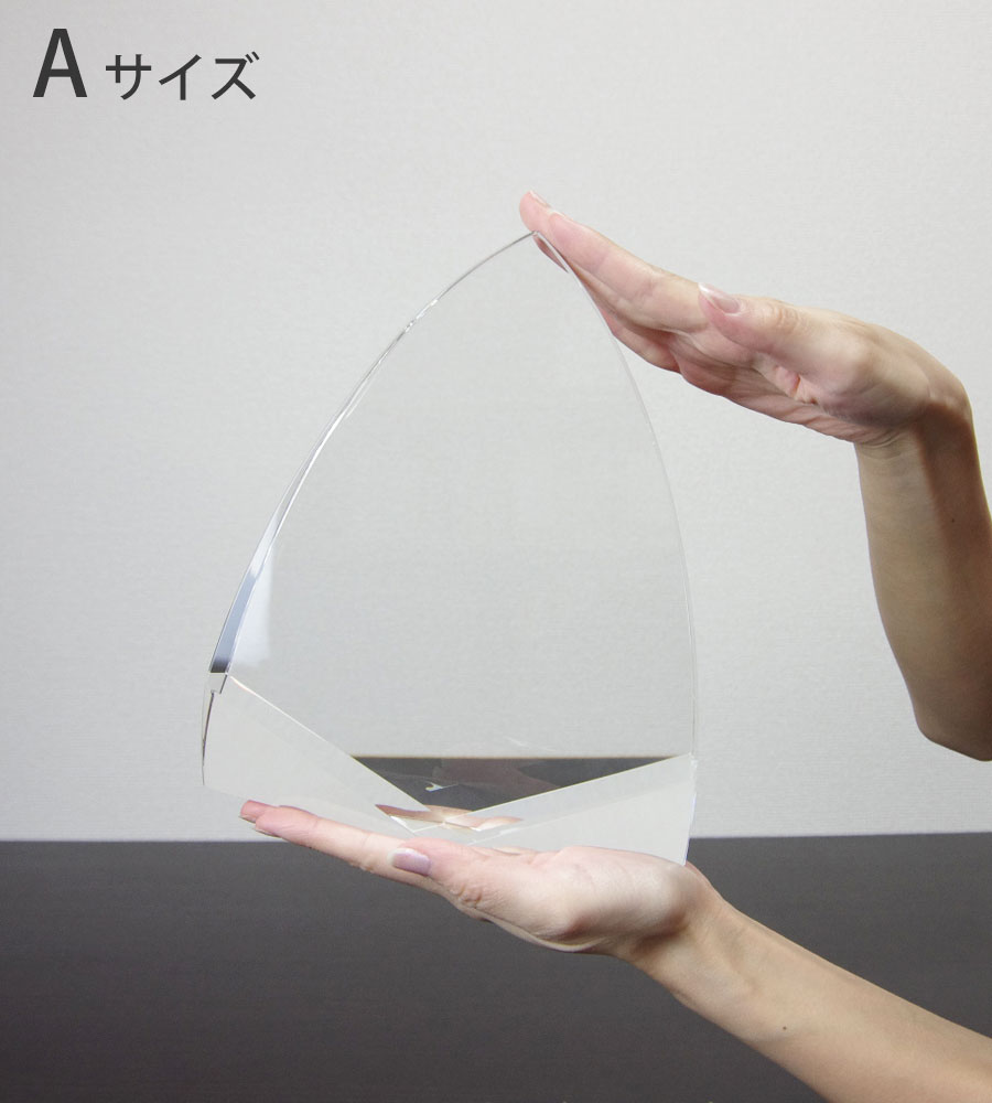 特注トロフィー