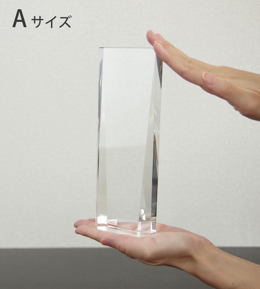 特注トロフィー