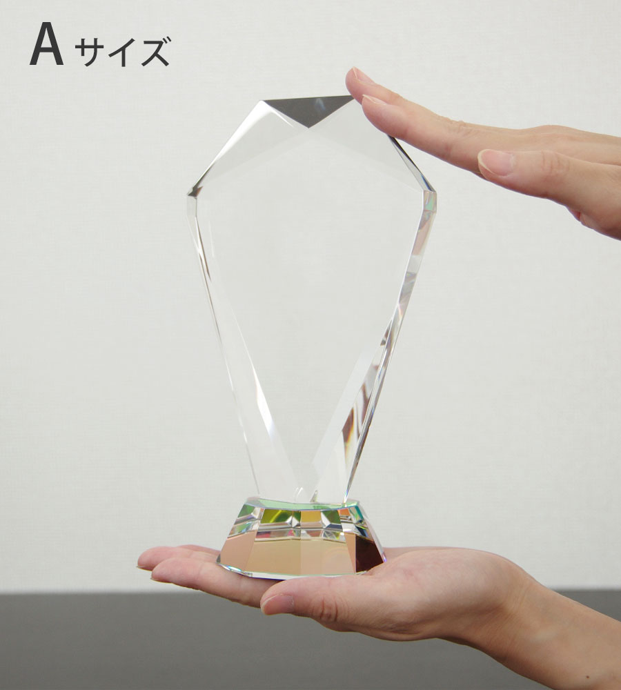 特注トロフィー