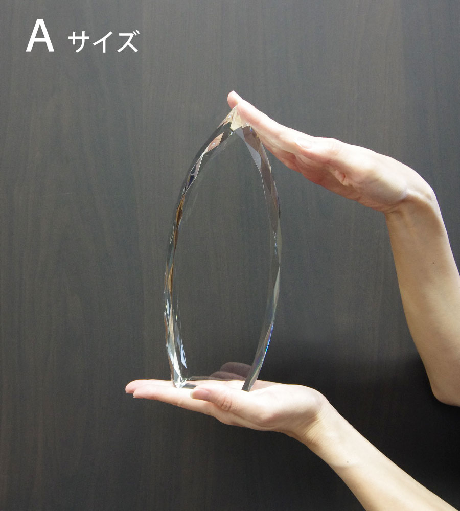 特注トロフィー