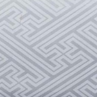 イベントや衣装に最適な光沢感のある素材　ポリエステルジャガード　紗綾形　白