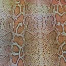 多彩に輝くホログラムのロイヤルスムース　パイソン柄（大蛇）　ベージュ系