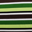 マルチカラー　ボーダー天竺ニット　緑系