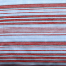 からみマルチボーダー生地　水色・朱赤