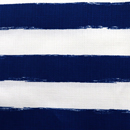 バニラン　ビッグボーダープリント　青