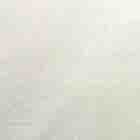 コットン天竺ニット生地