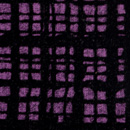 フロッキーチェックプリントニット　赤紫